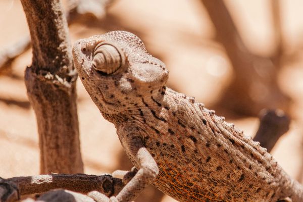 Desert Explorers Adventure Centre gallery image