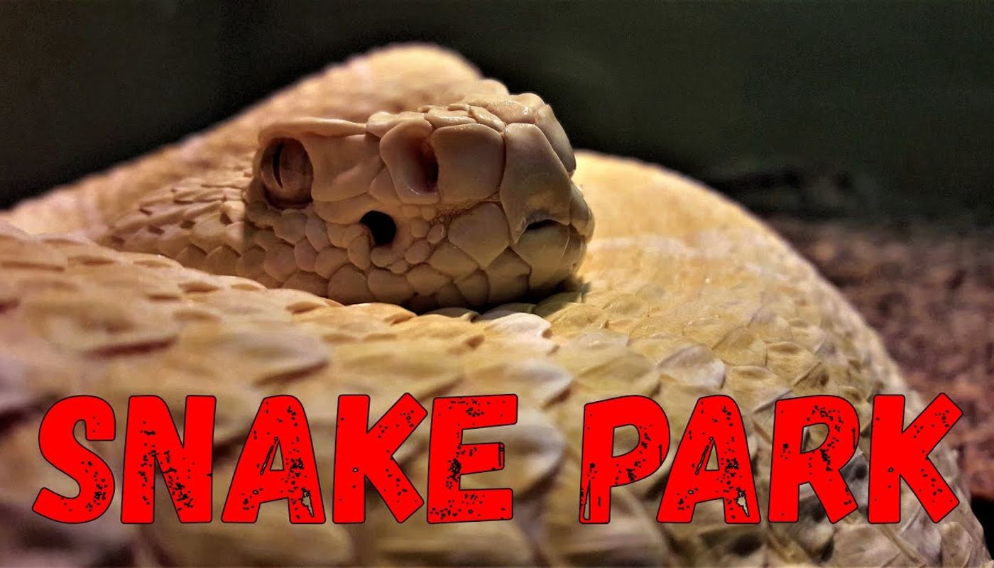 The living desert snake park