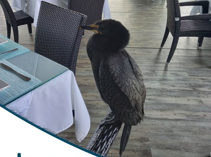 Jetty 1905 Restaurant